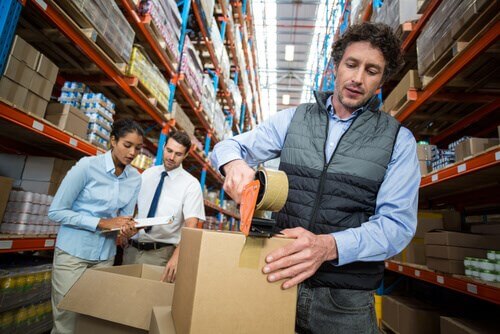 Highest-Paying Fruit Picking Jobs in the UK with Free Visa Sponsorship – Earn $25+/Hour